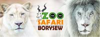 Safari Boryszew