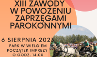 Plakat-Zawody w powożeniu zaprzęgami parokonnymi