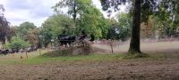 Przejazd zaprzęgu w konkursie.