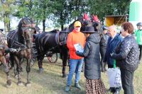 Wręczanie nagród przez Przewodniczącą Rady Ewelinę Antonowicz, Skarbnik Bożenę Bielicką oraz Pana Tadeusza Wiewiórskiego.