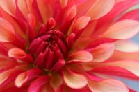 zajęcia fotograficzne