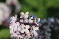 zajęcia fotograficzne