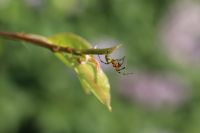 zajęcia fotograficzne