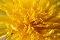 zajęcia fotograficzne