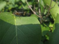 zajęcia fotograficzne