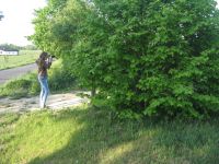 zajęcia fotograficzne