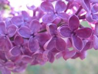 zajęcia fotograficzne