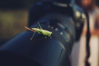 Zajęcia fotograficzne podczas pracy 7