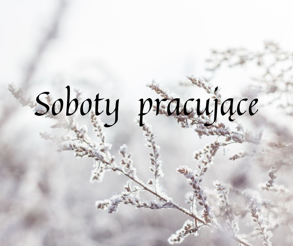 Soboty pracujące