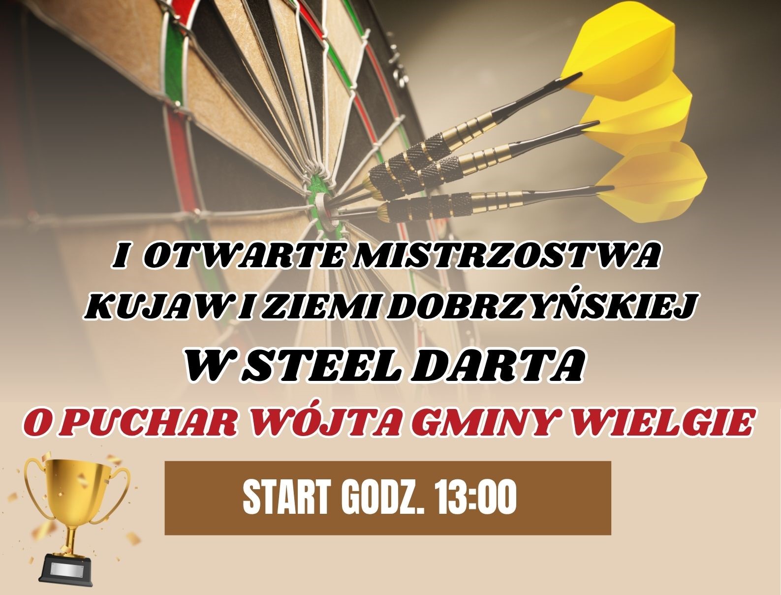 I Otwarte Mistrzostwa Kujaw i Ziemi Dobrzyńskiej w Steel Darta