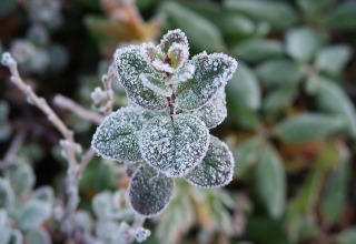 Informacja ARiMR dotycząca pomocy dla rolników